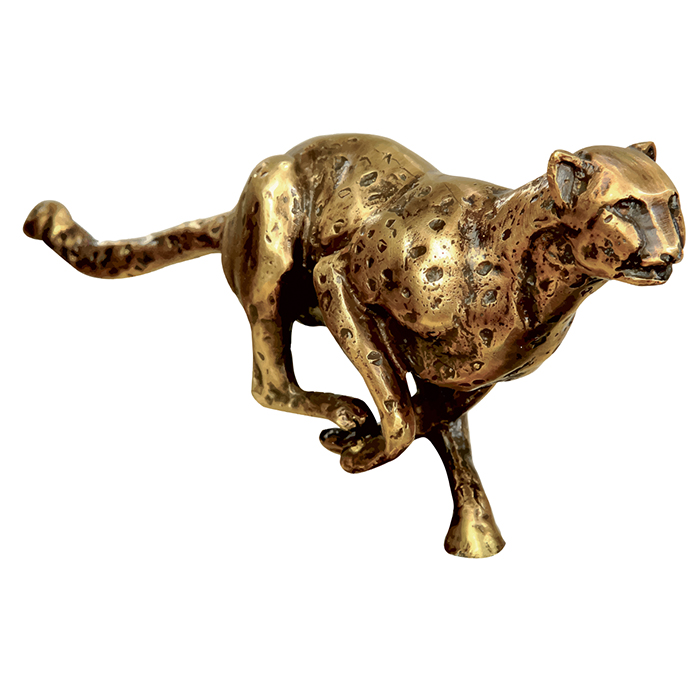 Gepard Biznesu