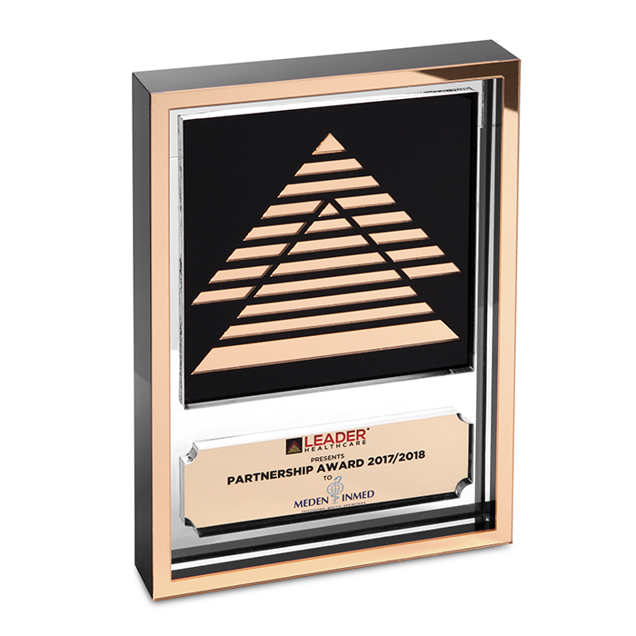 Partnership Award