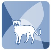Laser weterynaryjny - M-VET umożliwia leczenie kotów